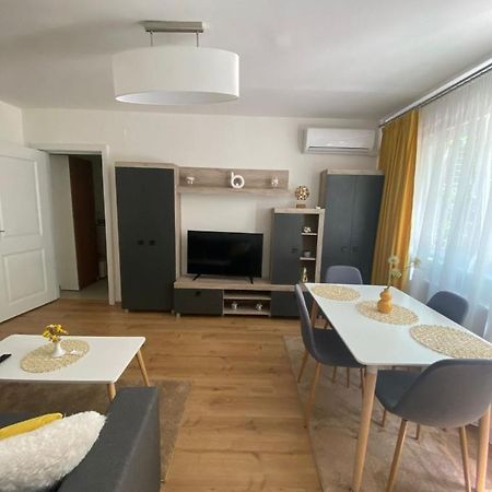 Apartamentul Gaviota Timisoara Luaran gambar