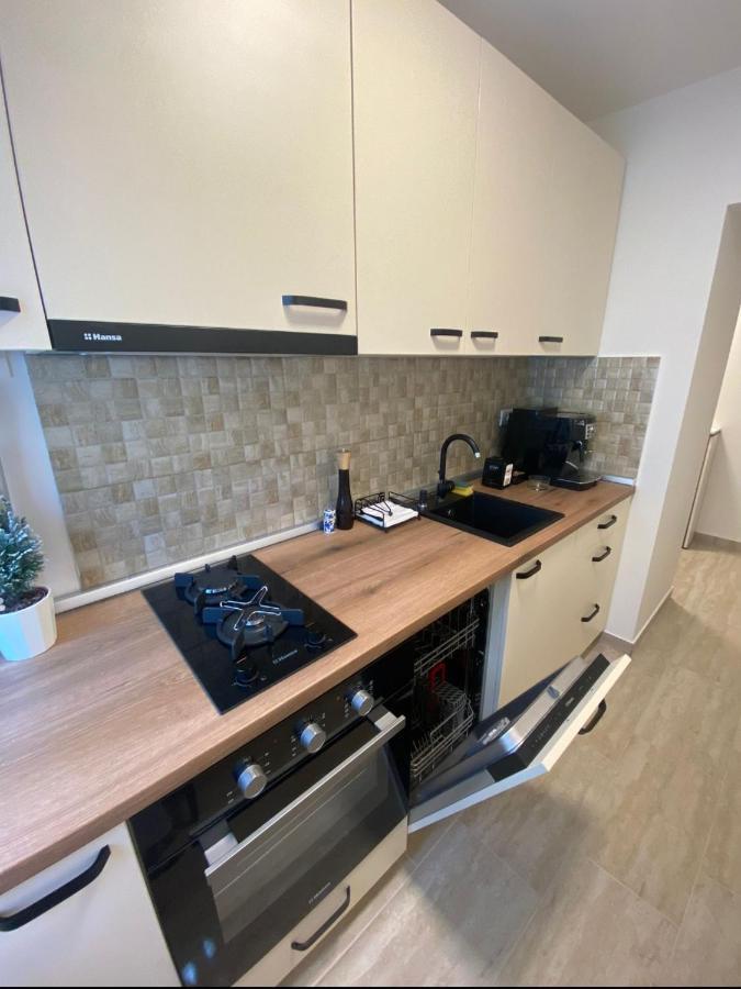 Apartamentul Gaviota Timisoara Luaran gambar