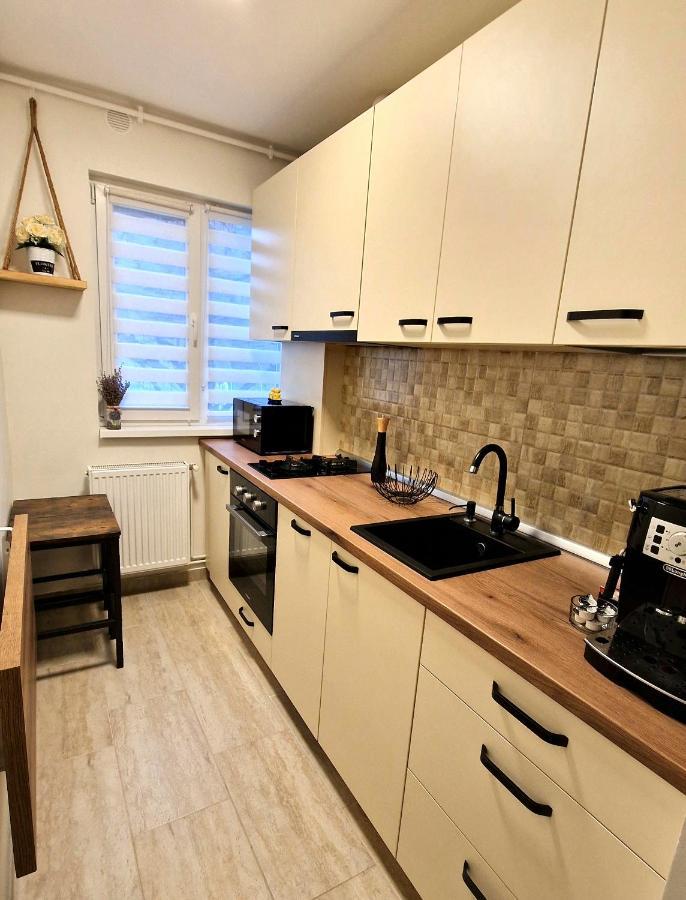 Apartamentul Gaviota Timisoara Luaran gambar