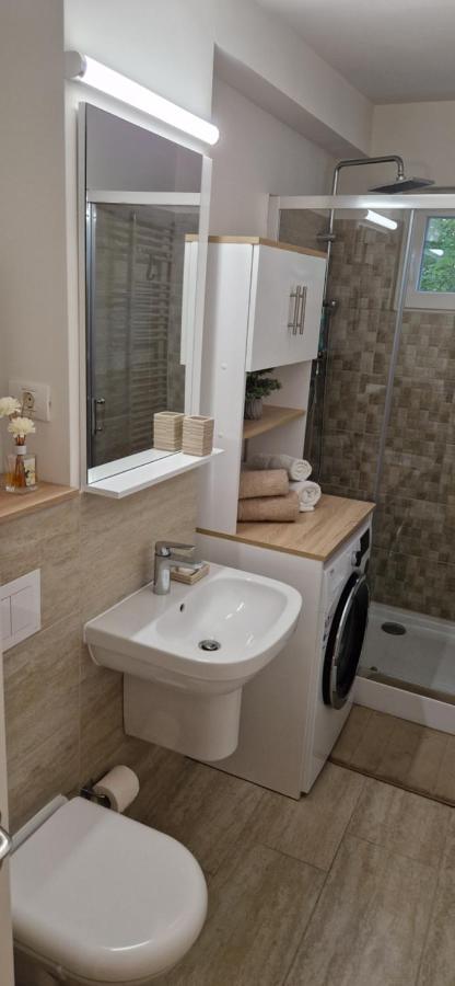 Apartamentul Gaviota Timisoara Luaran gambar
