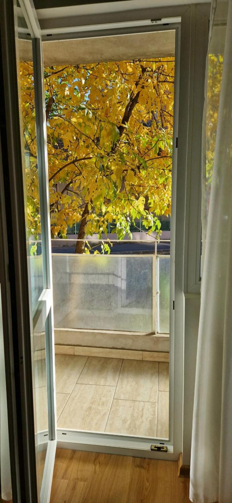 Apartamentul Gaviota Timisoara Luaran gambar